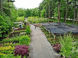Visit our Large, Drive Thu, Sales Yard at Hopkinton Stone and Garden