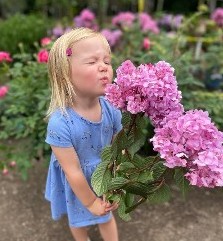 Plants for every purpose. Come find yours at Hopkinton Stone & Garden